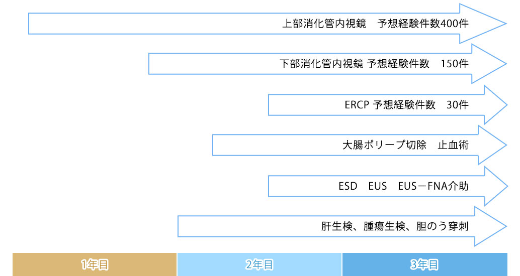 内視鏡手技等の経験